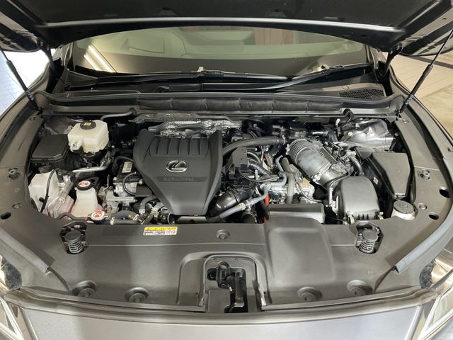 TOYOTA LEXUS RX500h 2024