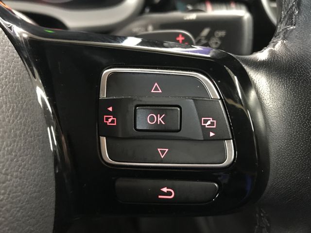 VOLKSWAGEN VOLKSWAGEN The BEETLE 2018