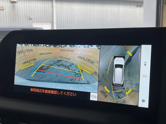 TOYOTA LANDCRUISER 250 2024