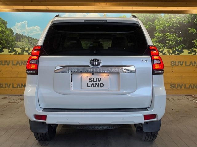 TOYOTA LANDCRUISER PRADO 2019