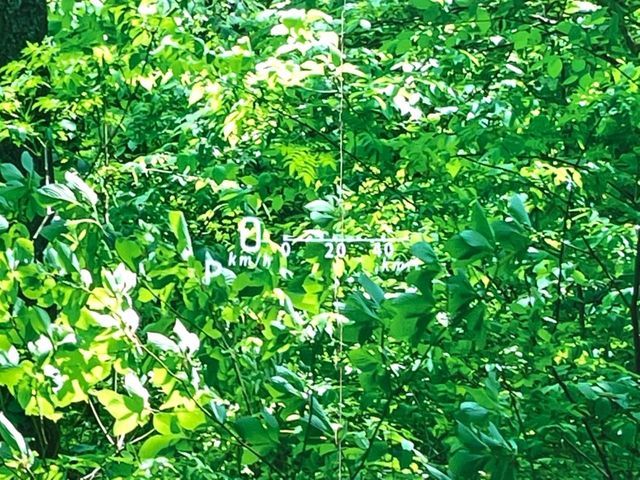 SUZUKI Spacia GEAR 2019