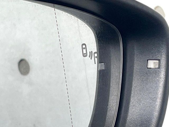 VOLKSWAGEN VOLKSWAGEN The BEETLE 2019