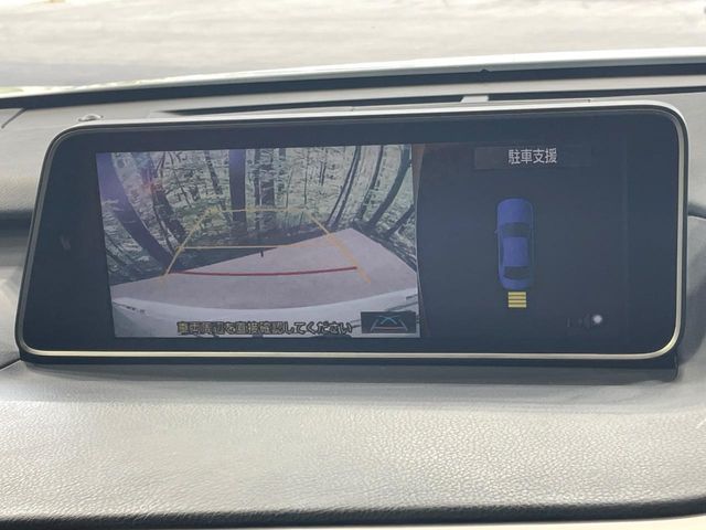 TOYOTA LEXUS RX300 2018