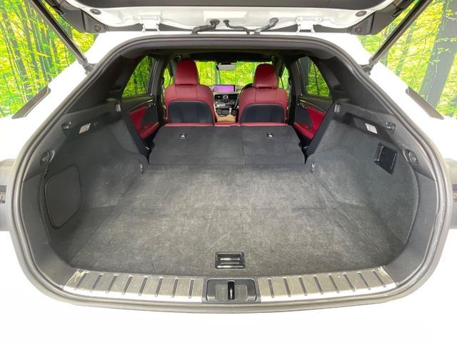 TOYOTA LEXUS RX300 2018