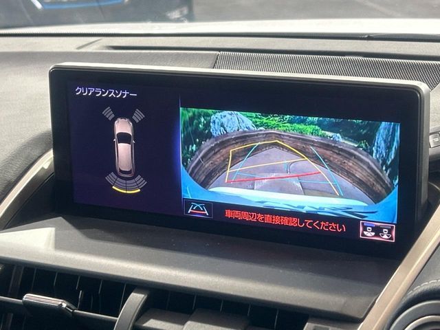 TOYOTA LEXUS NX300 2019