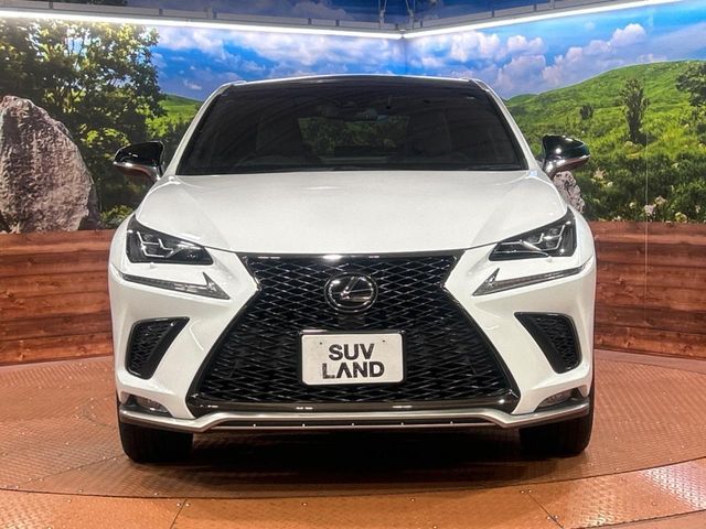 TOYOTA LEXUS NX300 2019