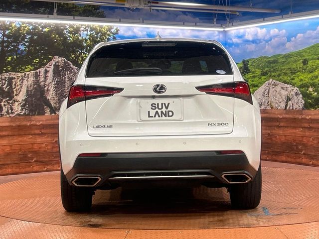 TOYOTA LEXUS NX300 2019