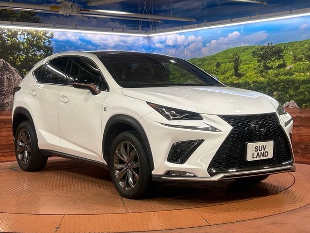 TOYOTA LEXUS NX300 2019