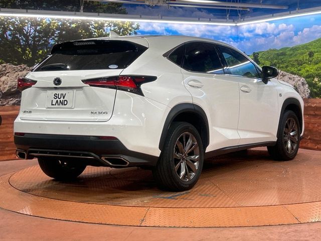TOYOTA LEXUS NX300 2019