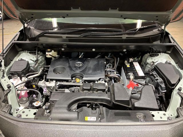 TOYOTA RAV4 4WD 2024