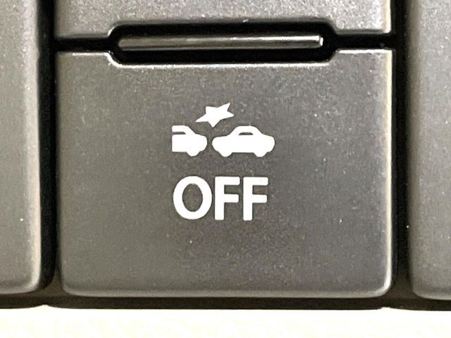 SUZUKI ALTO LAPIN 2019