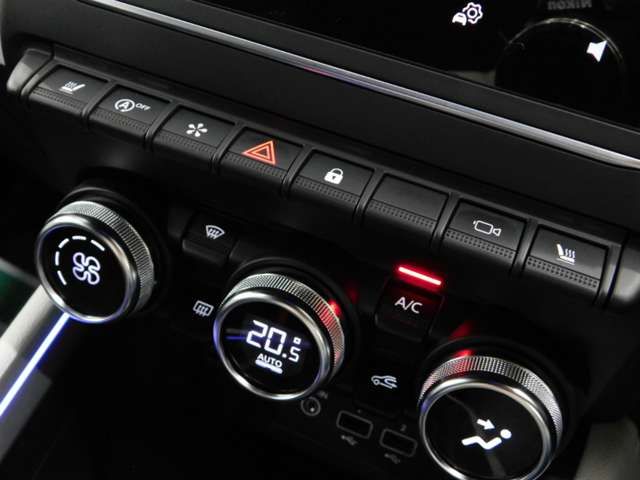 RENAULT RENAULT LUTECIA 2020