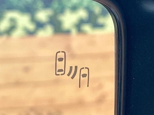 TOYOTA LANDCRUISER 250 2024