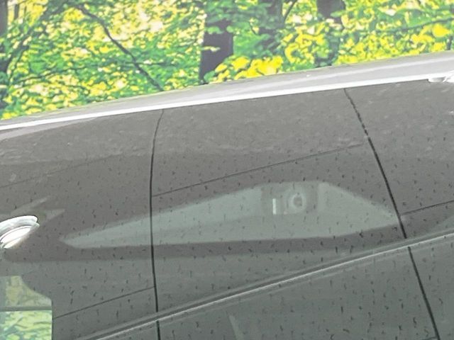 TOYOTA ALPHARD hybrid 2024