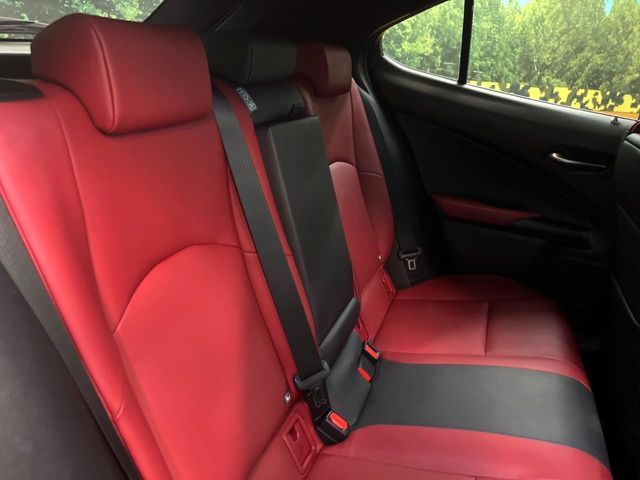 TOYOTA LEXUS UX200 2019