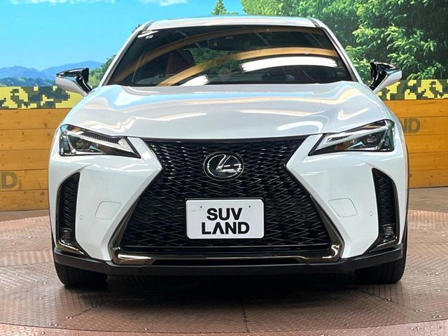 TOYOTA LEXUS UX200 2019