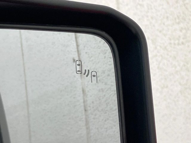 TOYOTA LANDCRUISER 250 2024