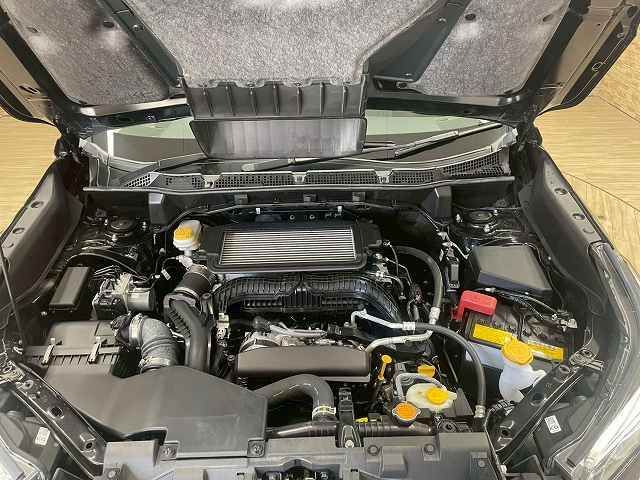 SUBARU FORESTER 2023