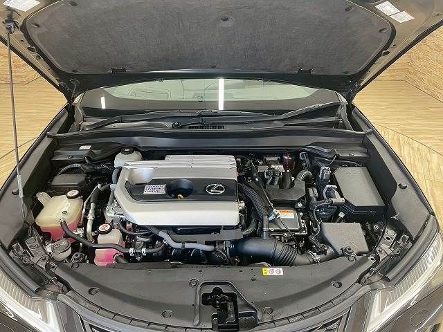 TOYOTA LEXUS UX250h 2019