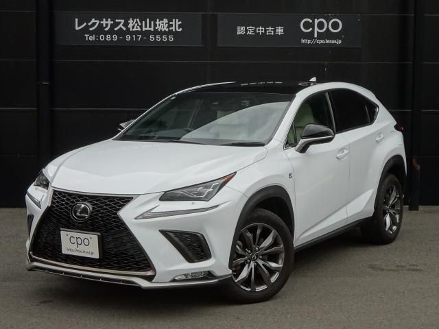 TOYOTA LEXUS NX300 2020