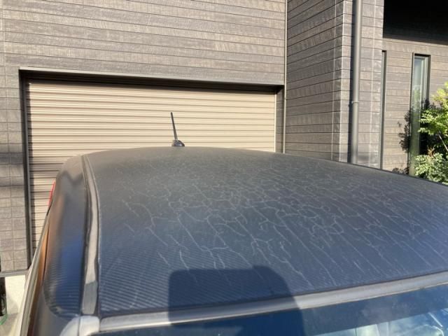 DAIHATSU CAST SPORT 2016