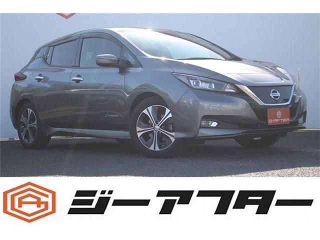 NISSAN LEAF 2018