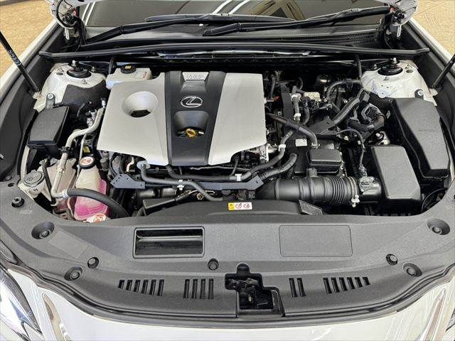 TOYOTA LEXUS ES300h 2018