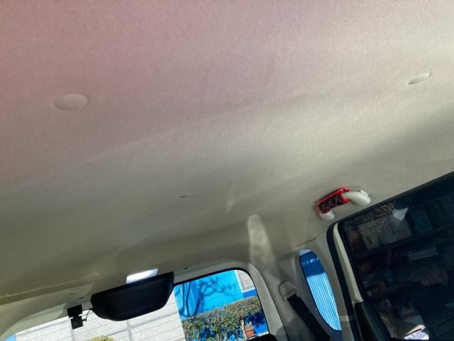 SUZUKI WAGON R STINGRAY 2019