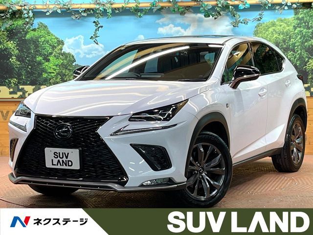 TOYOTA LEXUS NX300 2020