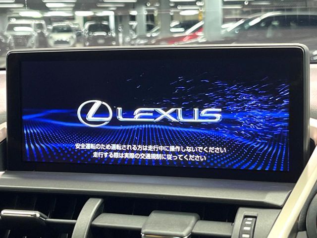 TOYOTA LEXUS NX300 2020