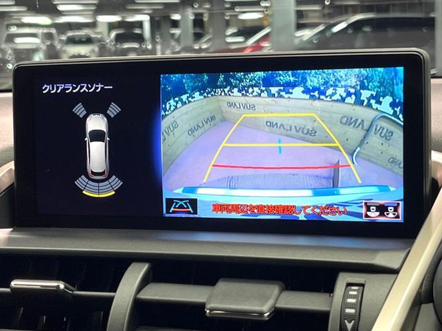 TOYOTA LEXUS NX300 2020