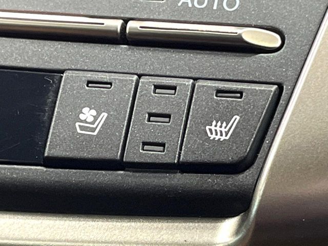 TOYOTA LEXUS NX300 2020