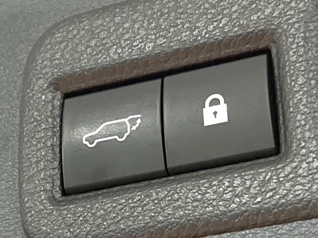 TOYOTA LEXUS NX300 2020