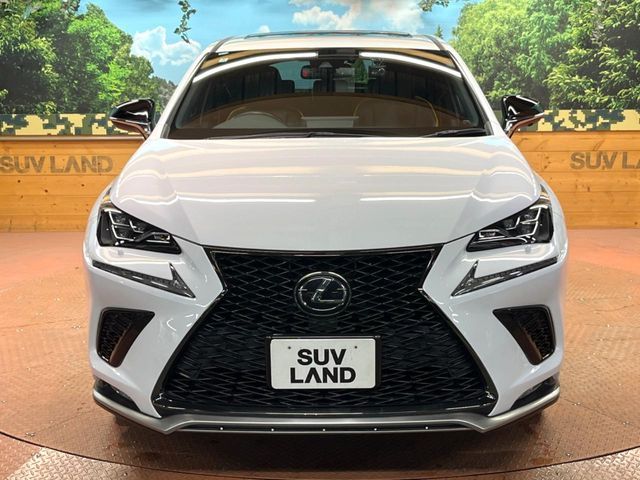 TOYOTA LEXUS NX300 2020