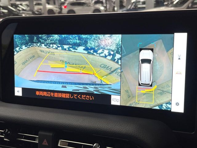 TOYOTA LANDCRUISER 250 2024