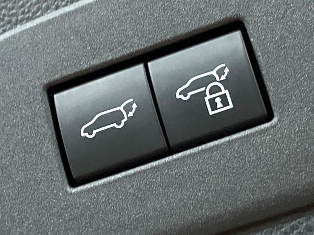 TOYOTA LANDCRUISER 250 2024