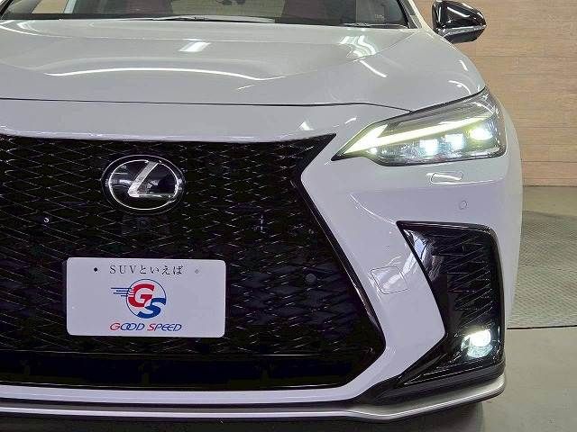 TOYOTA LEXUS NX450h+ AWD 2023