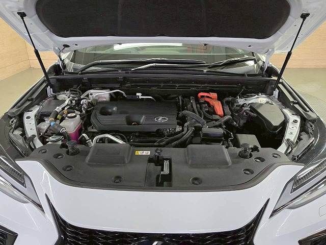 TOYOTA LEXUS NX450h+ AWD 2023