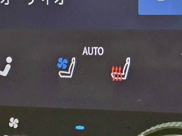 TOYOTA LEXUS NX450h+ AWD 2023