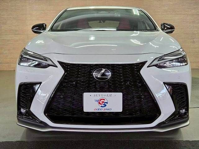 TOYOTA LEXUS NX450h+ AWD 2023