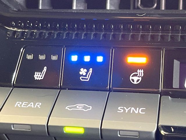 TOYOTA LANDCRUISER 250 2024