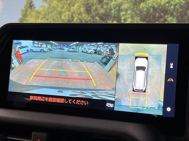 TOYOTA LANDCRUISER 250 2024