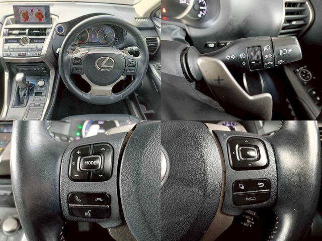 TOYOTA LEXUS NX300h 2014