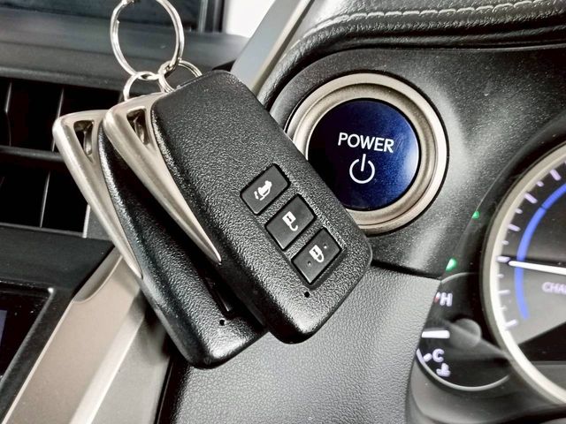 TOYOTA LEXUS NX300h 2014