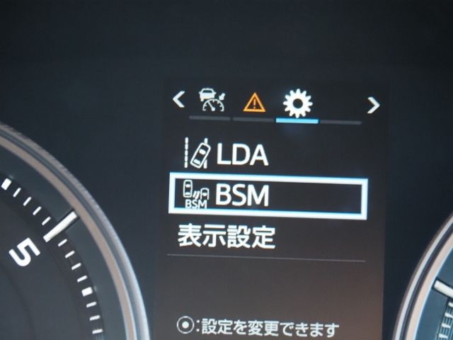 TOYOTA LANDCRUISER wagon 2021