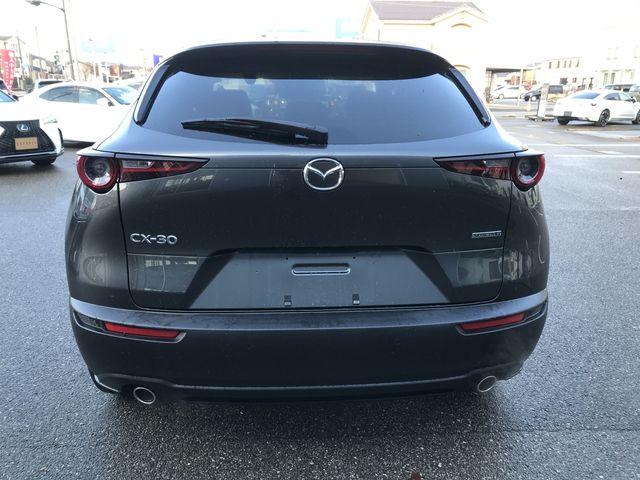 MAZDA CX-30 2021