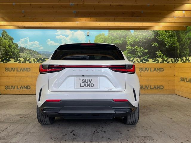 TOYOTA LEXUS NX350h AWD 2023