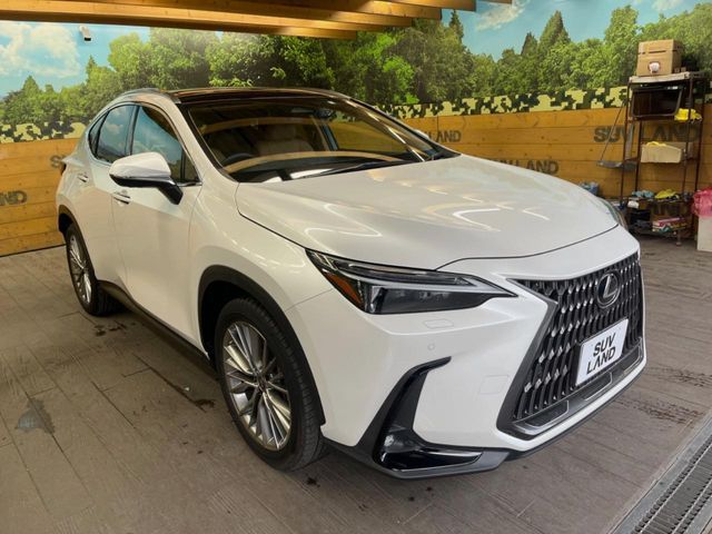 TOYOTA LEXUS NX350h AWD 2023