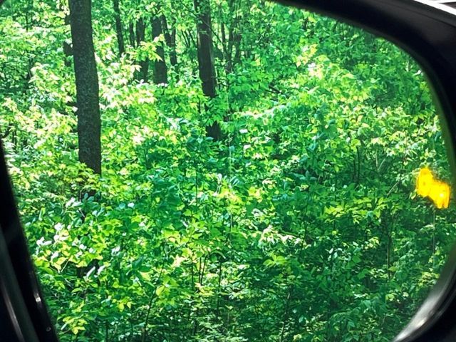 TOYOTA HARRIER HYBRID 2024