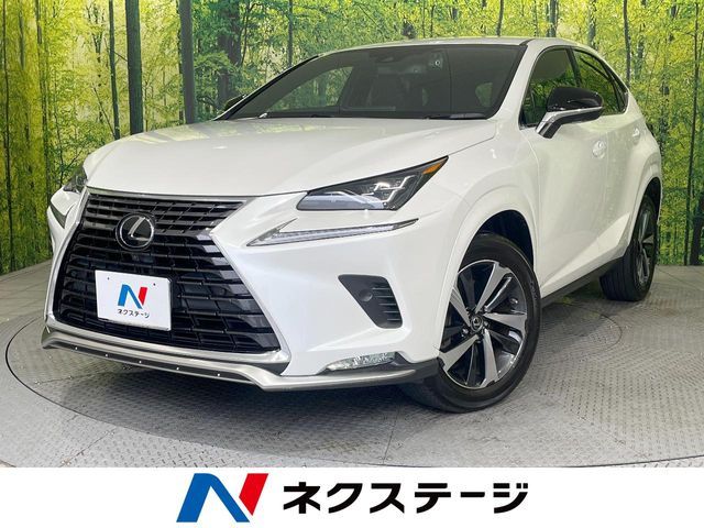 TOYOTA LEXUS NX300 2020